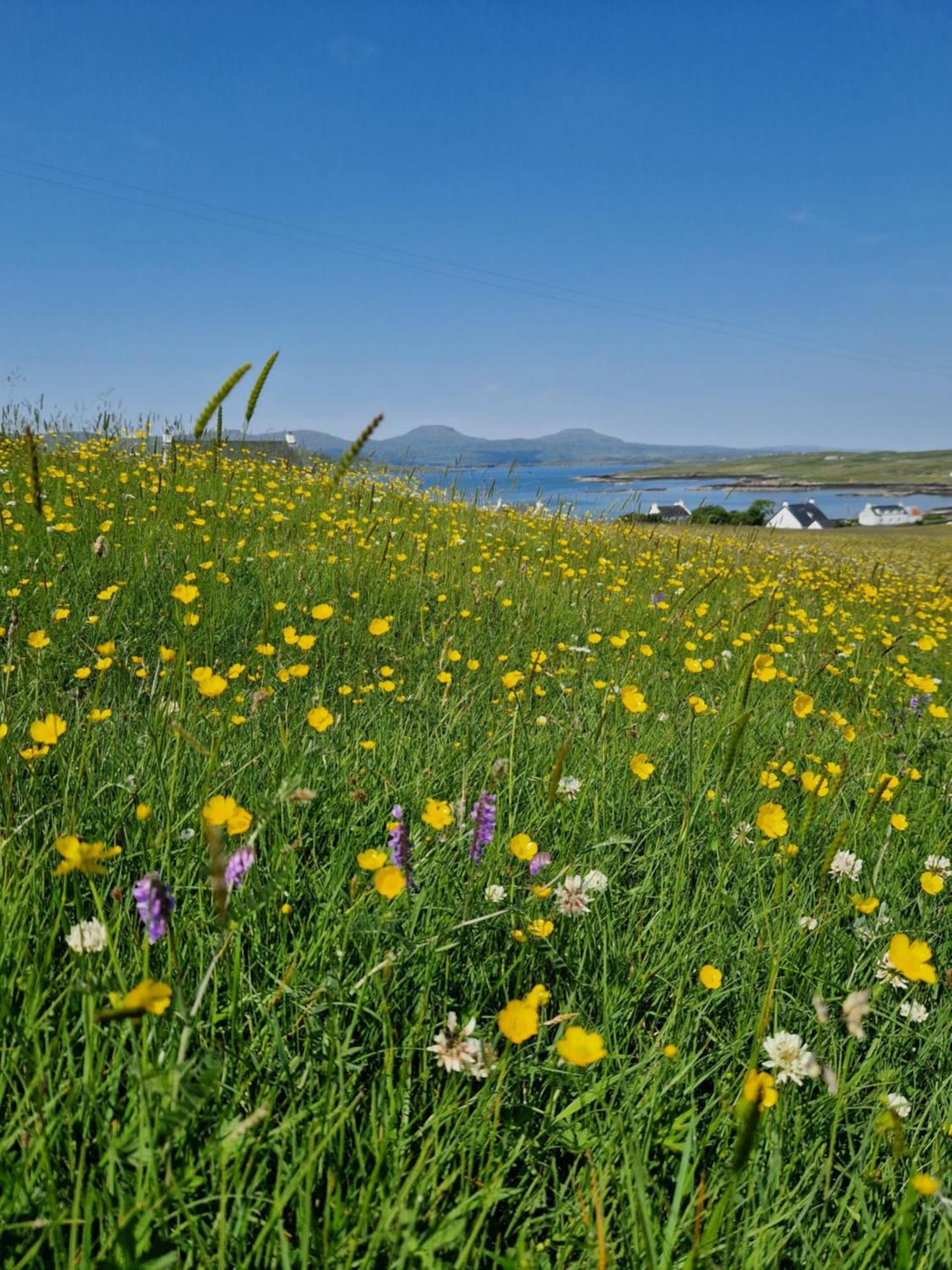 Ornum Self Catering Cottage Eabost Dış mekan fotoğraf